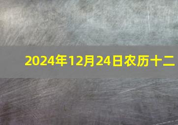 2024年12月24日农历十二