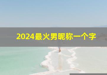 2024最火男昵称一个字