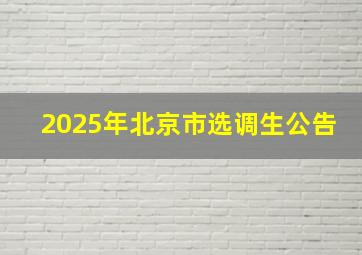 2025年北京市选调生公告