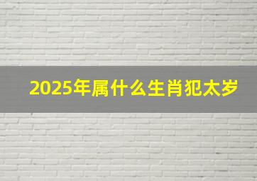 2025年属什么生肖犯太岁