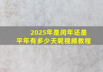 2025年是闰年还是平年有多少天呢视频教程