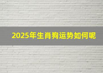 2025年生肖狗运势如何呢