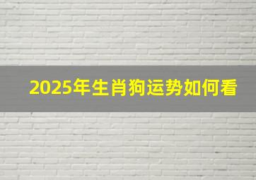 2025年生肖狗运势如何看