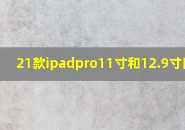 21款ipadpro11寸和12.9寸区别