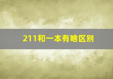 211和一本有啥区别