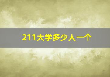 211大学多少人一个