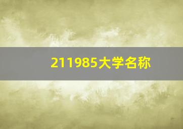 211985大学名称