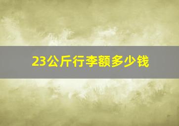 23公斤行李额多少钱