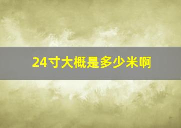 24寸大概是多少米啊