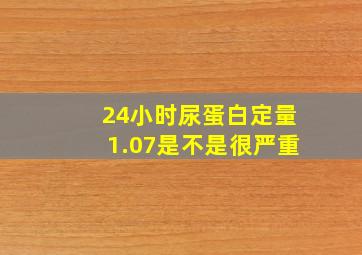 24小时尿蛋白定量1.07是不是很严重