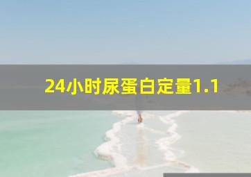 24小时尿蛋白定量1.1