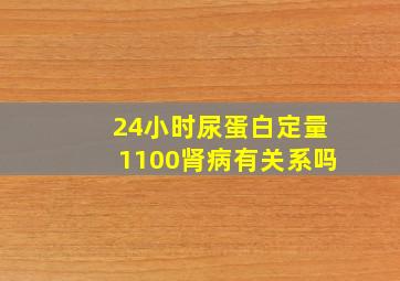 24小时尿蛋白定量1100肾病有关系吗