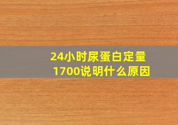 24小时尿蛋白定量1700说明什么原因