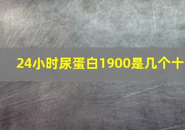 24小时尿蛋白1900是几个十