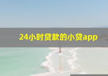 24小时贷款的小贷app