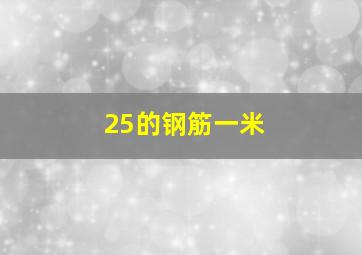 25的钢筋一米