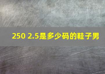 250 2.5是多少码的鞋子男