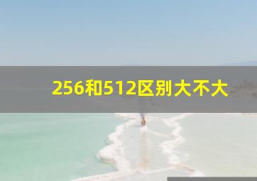 256和512区别大不大