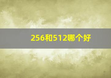 256和512哪个好