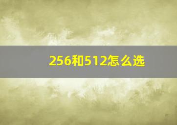 256和512怎么选