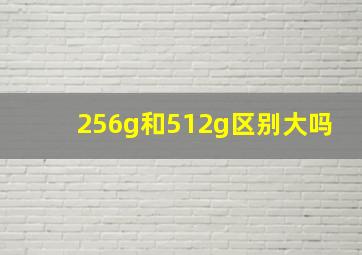 256g和512g区别大吗