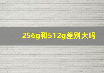 256g和512g差别大吗