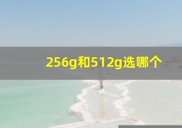 256g和512g选哪个