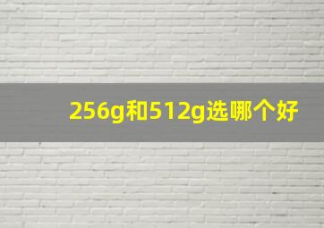 256g和512g选哪个好