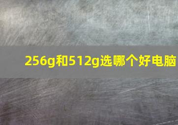 256g和512g选哪个好电脑