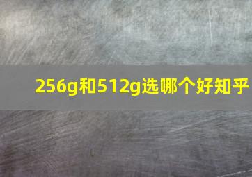 256g和512g选哪个好知乎