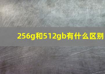 256g和512gb有什么区别