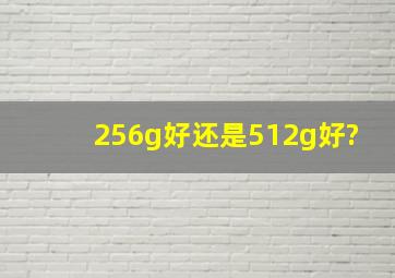 256g好还是512g好?