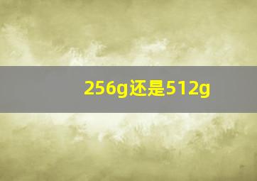 256g还是512g