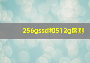 256gssd和512g区别