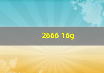 2666 16g