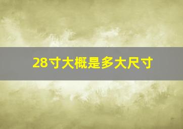 28寸大概是多大尺寸