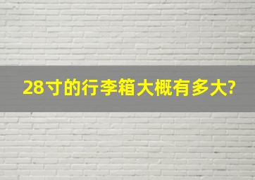 28寸的行李箱大概有多大?