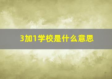 3加1学校是什么意思