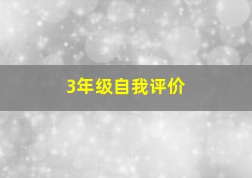 3年级自我评价