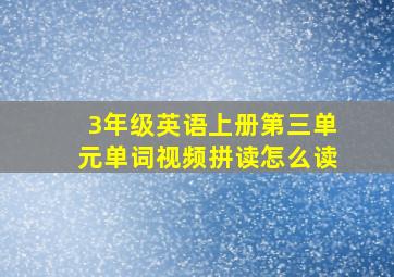 3年级英语上册第三单元单词视频拼读怎么读