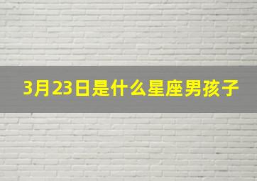 3月23日是什么星座男孩子