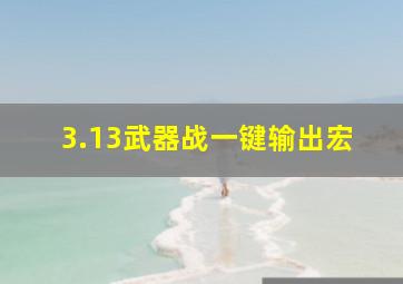 3.13武器战一键输出宏