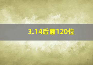 3.14后面120位