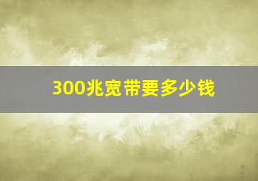 300兆宽带要多少钱