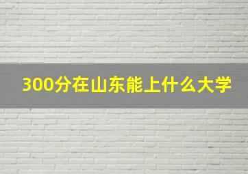 300分在山东能上什么大学