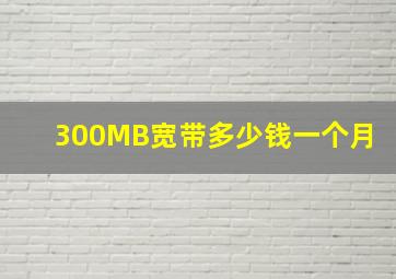 300MB宽带多少钱一个月