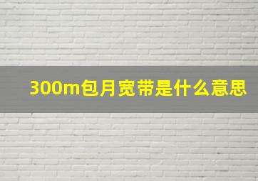 300m包月宽带是什么意思