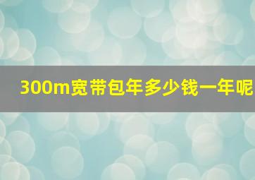 300m宽带包年多少钱一年呢