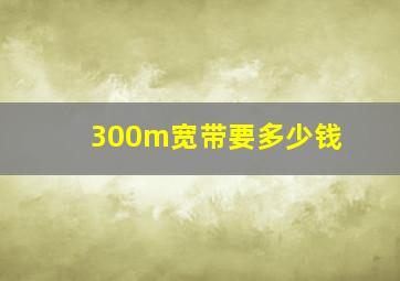 300m宽带要多少钱