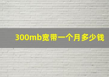 300mb宽带一个月多少钱